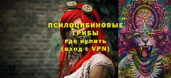 Альфа ПВП Дмитровск