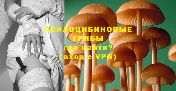 Альфа ПВП Дмитровск