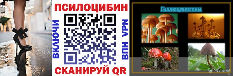 Галлюциногенные грибы MAGIC MUSHROOMS  Междуреченск 
