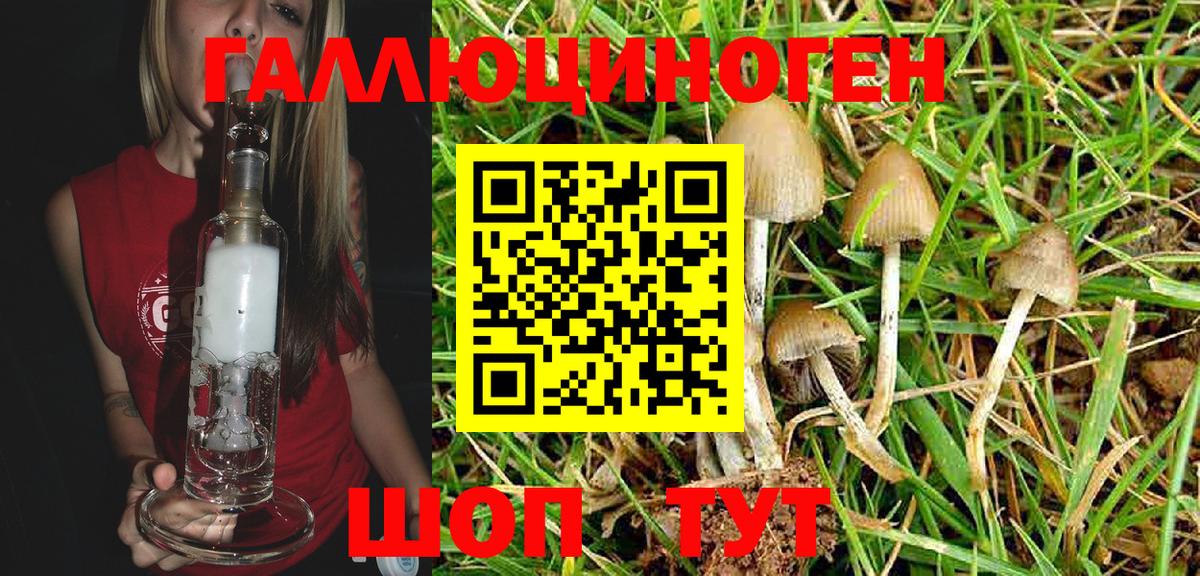 COCAIN  LSD-25  Вход с VPN  Купить  Междуреченск  МЕФ  Каннабис  ГАШ  Мефедрон  