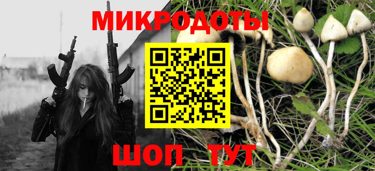 Галлюциногенные грибы GOLDEN TEACHER Междуреченск